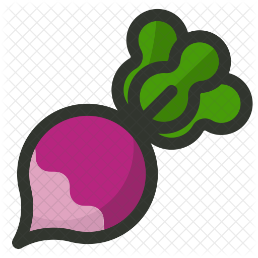 Turnip Icon - Radish Icon (512x512)