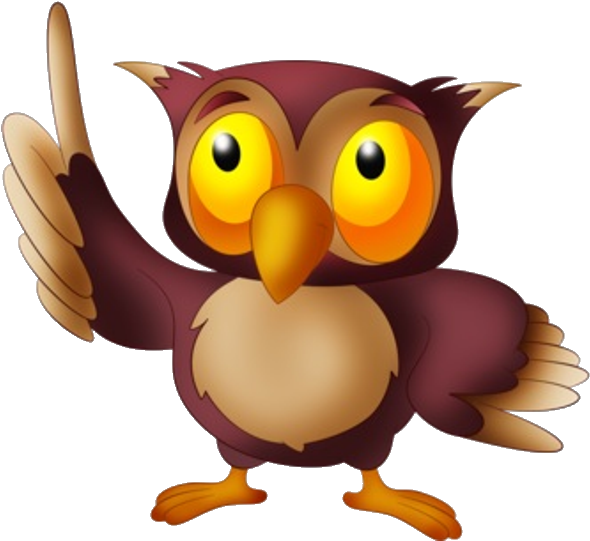 Owl#39s Bird Images - Owl Cartoon Images Png (600x600)