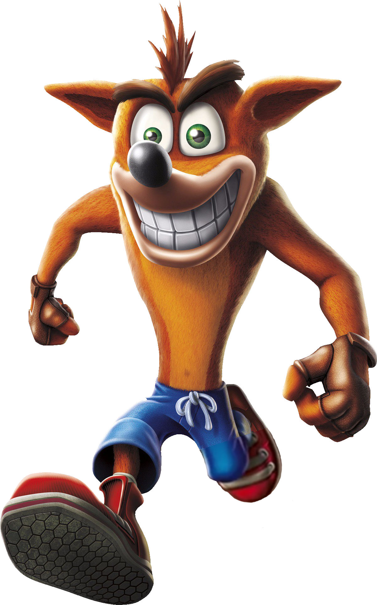 Crash Bandicoot, Or Simply Crash, Is The Title Character - Crash Bandicoot N Sane Trilogy Transparent (1224x1936)