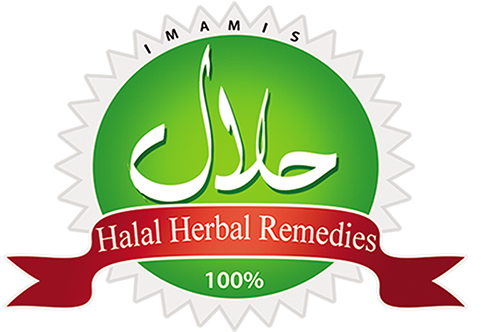 Coast Motor Company (500x500)