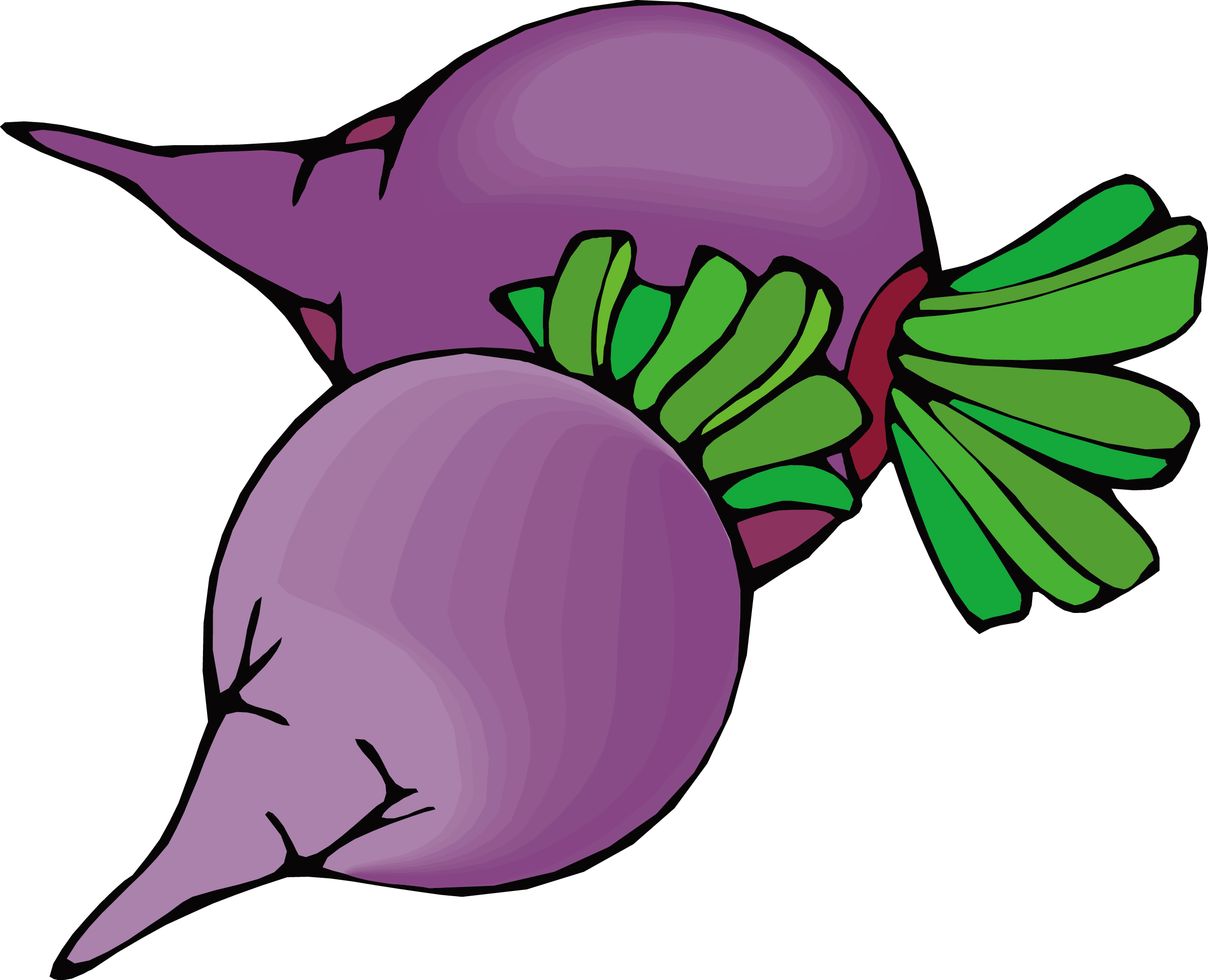 Beetroot Sugar Beet Vegetable Clip Art - Beetroot Sugar Beet Vegetable Clip Art (2363x1917)