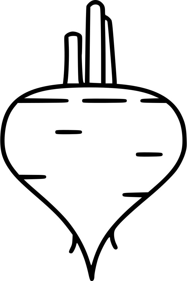 Beet Beetroot Turnip Comments - Line Art (652x980)