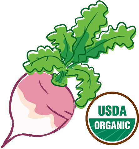 Organic-turnip - Health Ranger Select Freeze-dried Organic Whole Blueberries (500x500)