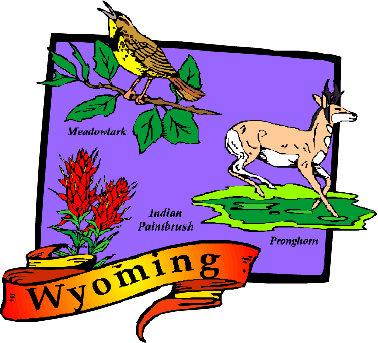 During A Disaster, It's Important To Be Prepared And - Wyoming Map Postcards (package Of 8) (750x682)