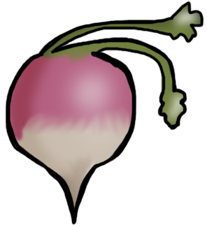 Turnip, This Is What A Turnip Looks Like I Think - Portable Network Graphics (350x350)