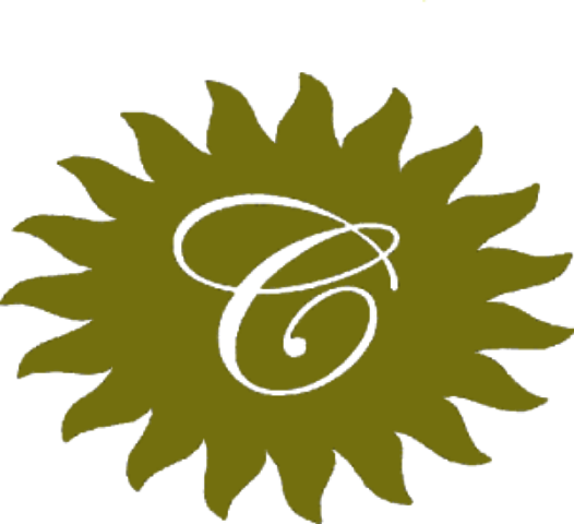 Testing Green Sun Background - Floral Design (526x480)