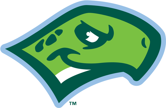 Head Fc - Daytona Tortugas Logo (715x472)