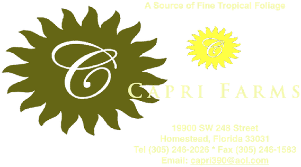 Cropped 600 Full Sun Header For Website Fotoflexer - Clark Memorial Hospital Logo (1000x573)