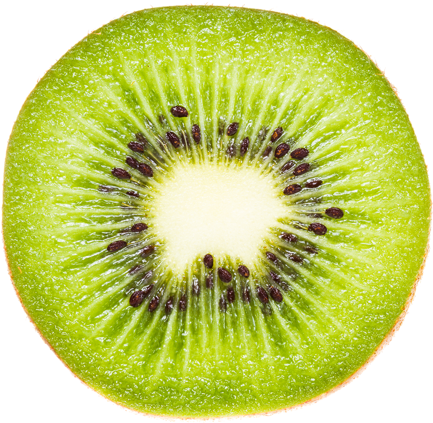 Kiwi Storage - Kiwi Bicycle Twin Duvet Cover (1000x948)