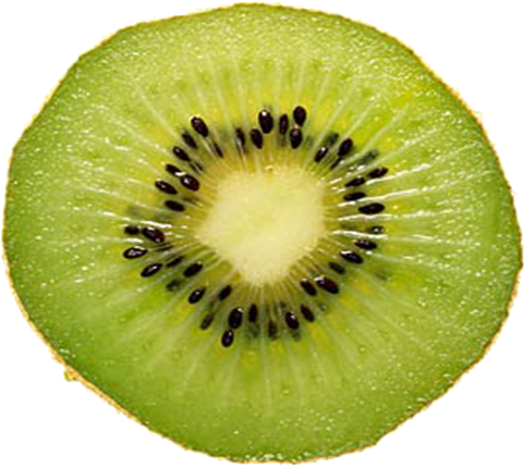 Fluorescent In Situ Hybridisation , Researchers Have - Kiwi Tranche (600x450)
