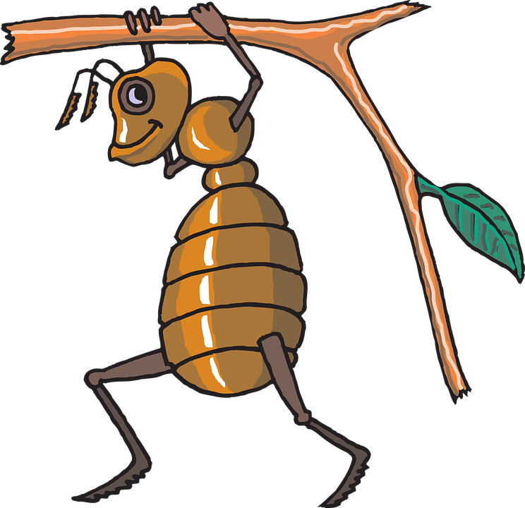 Grasshopper Cartoon 14, Buy Clip Art - Free Vector Bee (744x720)