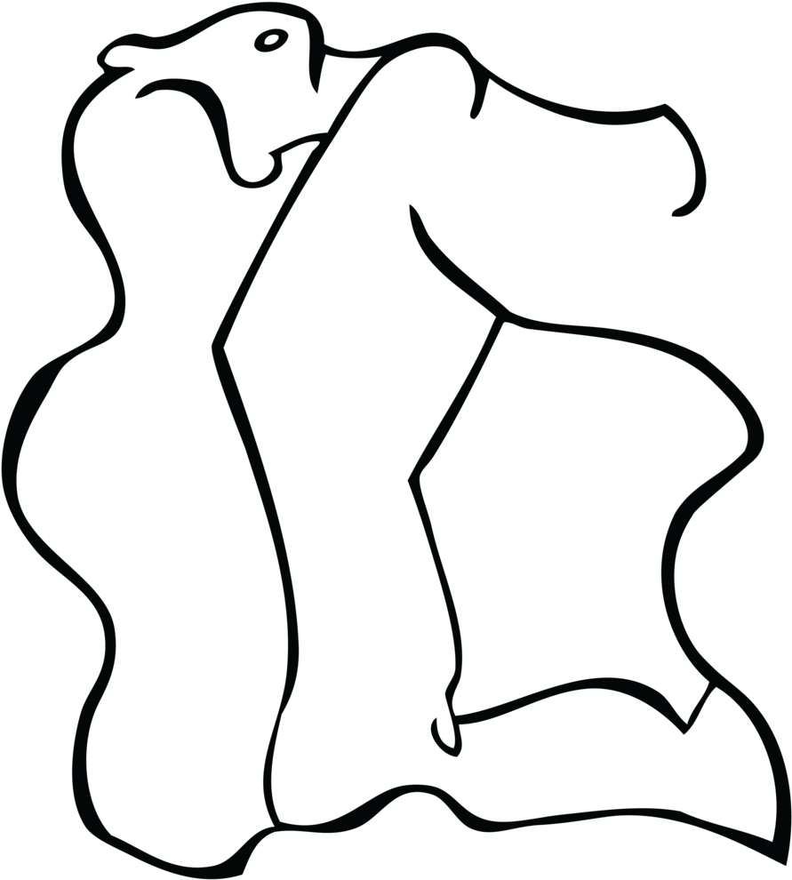 Acrobat-02 - Portable Network Graphics (1000x1082)