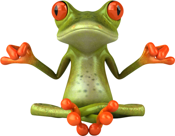 Apsya Nettoyage Grenouille Zen 3d Slider - Grenouille (751x597)