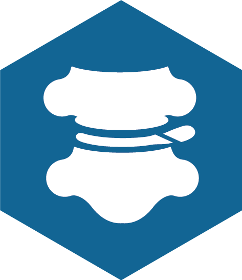 Microdiscectomy - Education Experience Icon (473x546)