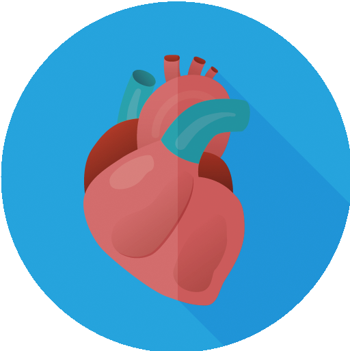 Appointment With A Cardiologist - Cardiology (512x513)