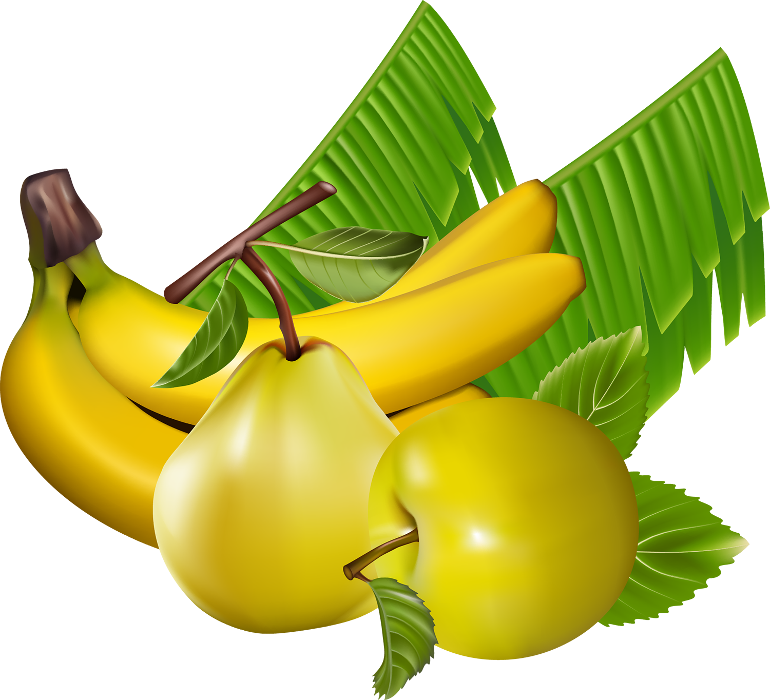 Tangerine Mandarin Orange Banana Kiwifruit - Tangerine Mandarin Orange Banana Kiwifruit (1500x1364)