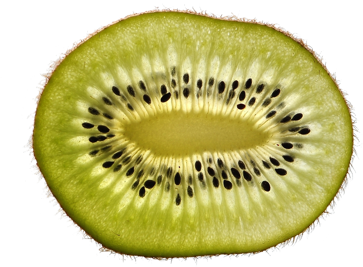 Kiwi Fruit - Close Up Pictures To Guess (1280x854)