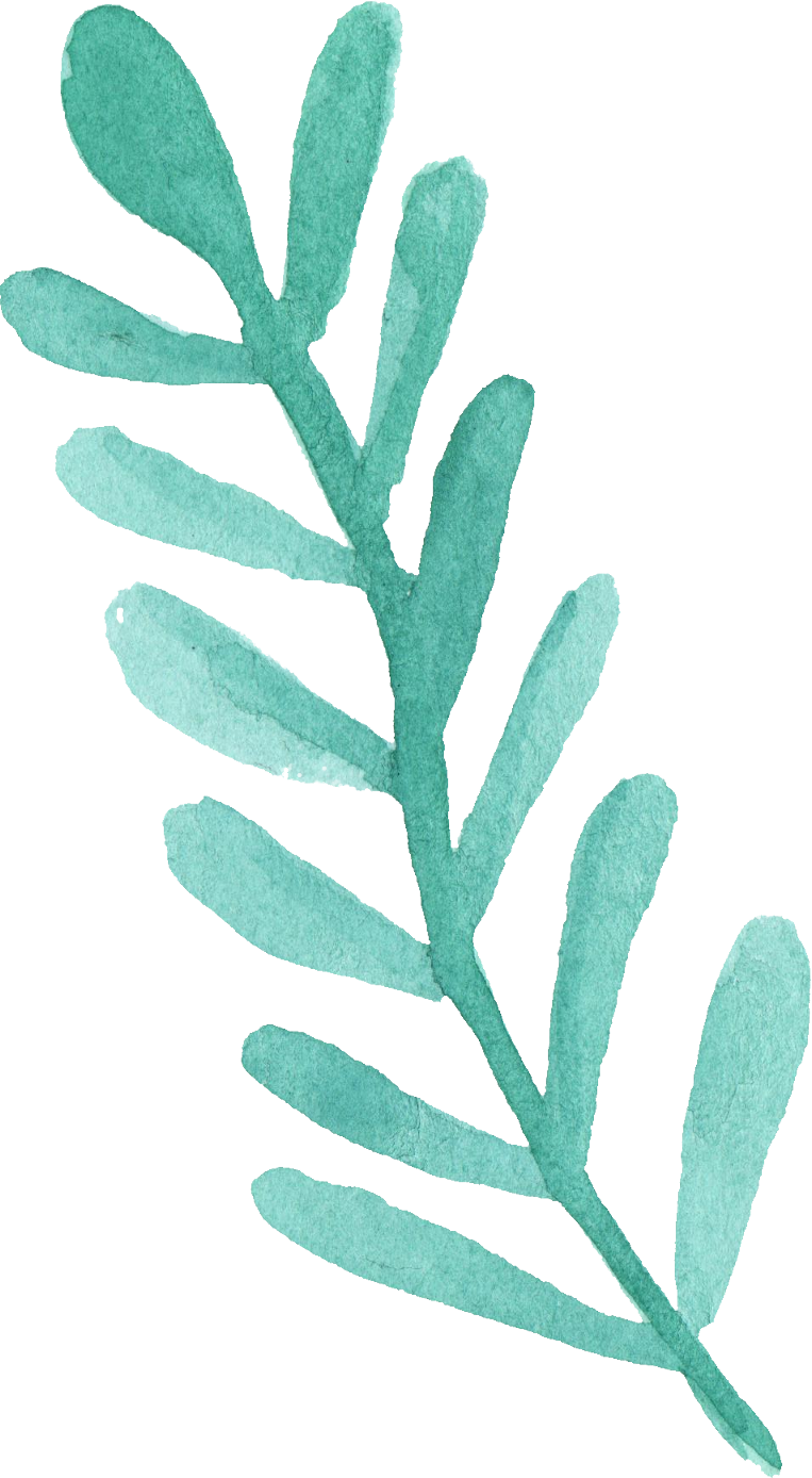 Free Download - Watercolor Leaf Leaf Png (763x1388)