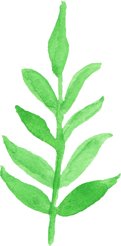12 Watercolor - Watercolor Leaf Transparent (401x811)