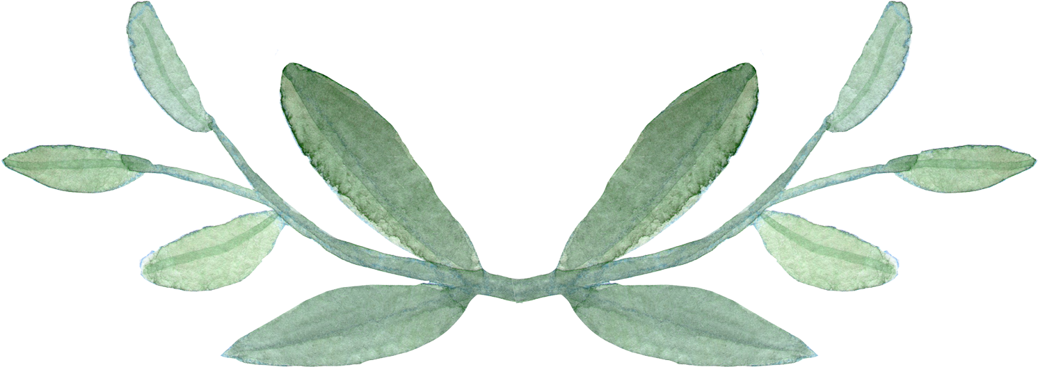 Watercolor Leaves Images - Calligraphy Sign (1506x594)