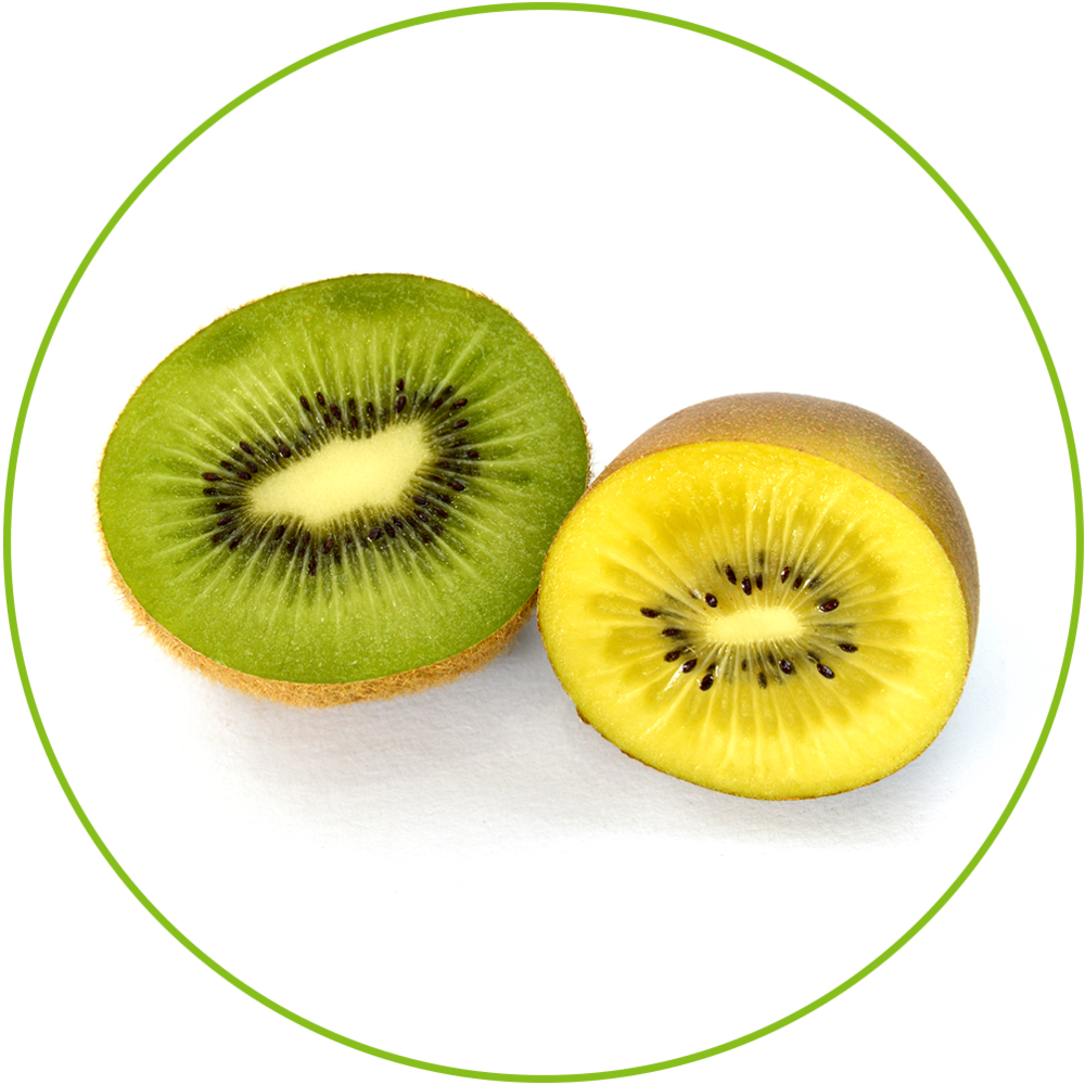 Kiwifruit (1000x1000)