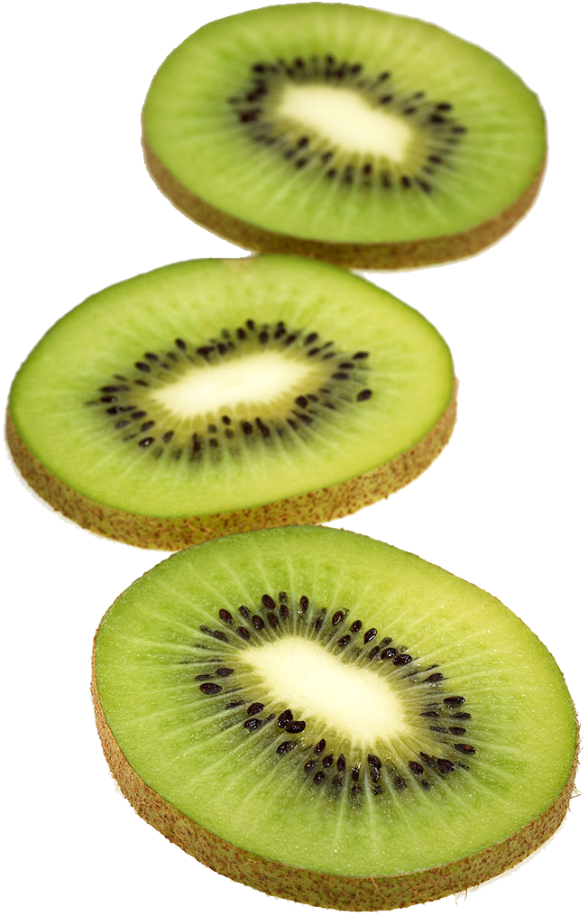 Kiwifruit Actinidia Deliciosa Actinidia Chinensis Actinidia - Kiwifruit Actinidia Deliciosa Actinidia Chinensis Actinidia (736x1024)