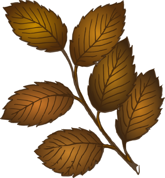 Fall Leaves Branch Svg Clip Arts 552 X 594 Px - Brown Branch With Leaves (552x594)