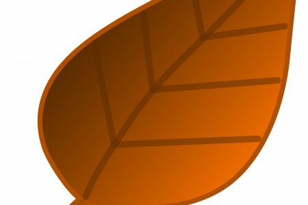 Pin Brown Leaf Clipart - Surfing (450x300)