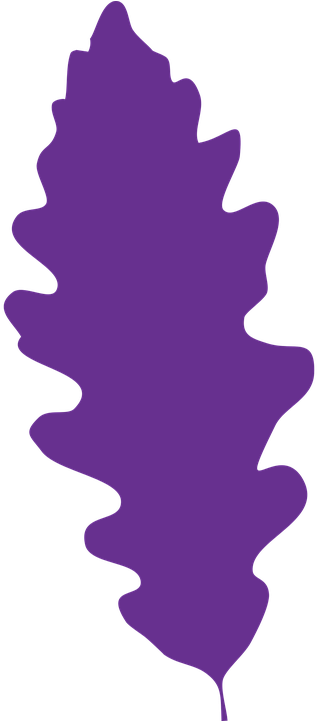 Oak Leaf Vector 14, Buy Clip Art - Leaf (360x720)