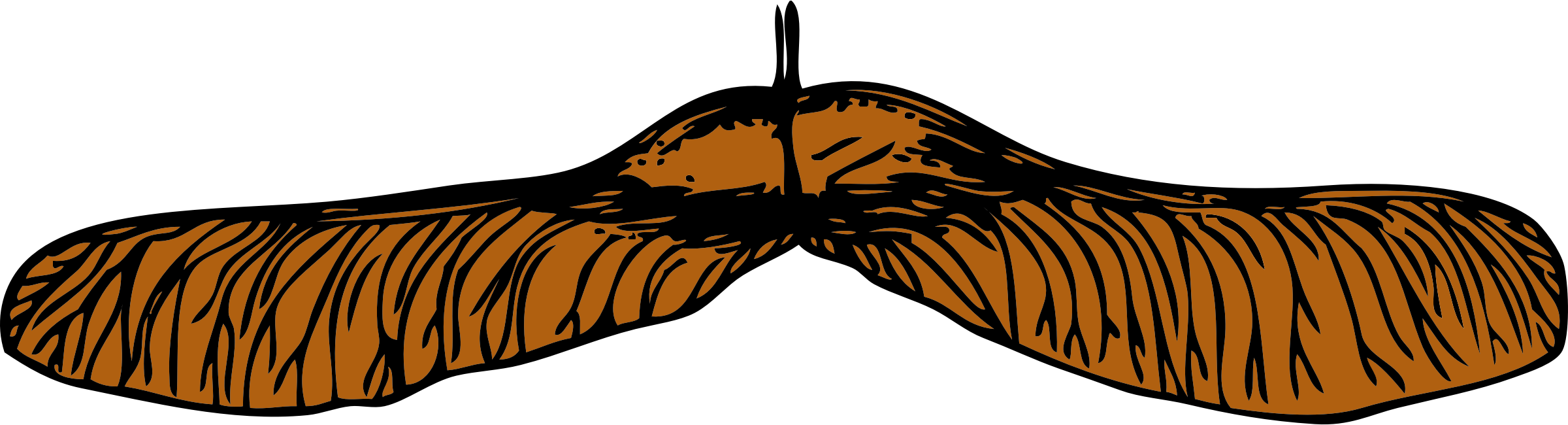 Seed Crafts And Sensory Activities - Maple Seed Clip Art (2400x650)