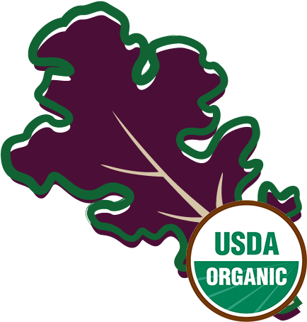 Organic Lettuce Red Oak - Usda Organic (500x500)