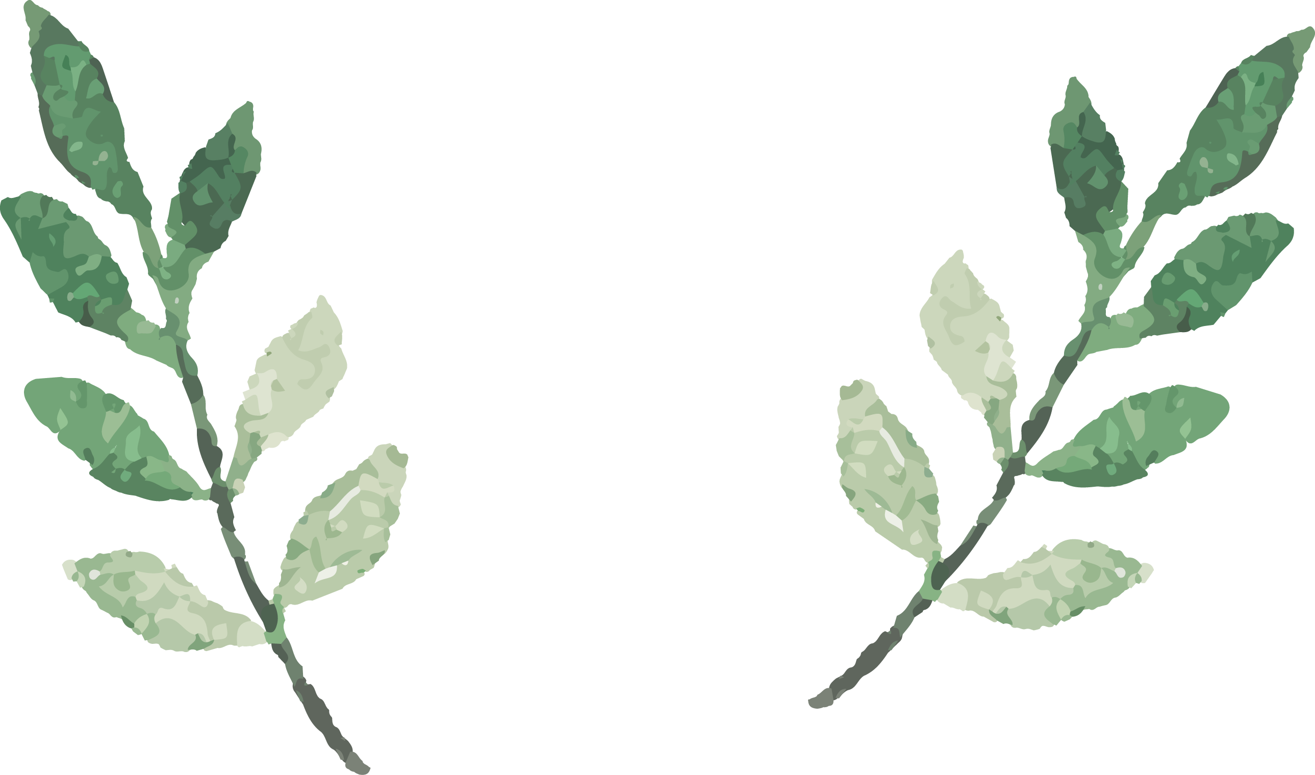 Watercolor Vector Png Image Transpa Arts - Watercolor Leaves Transparent Background (2578x1519)