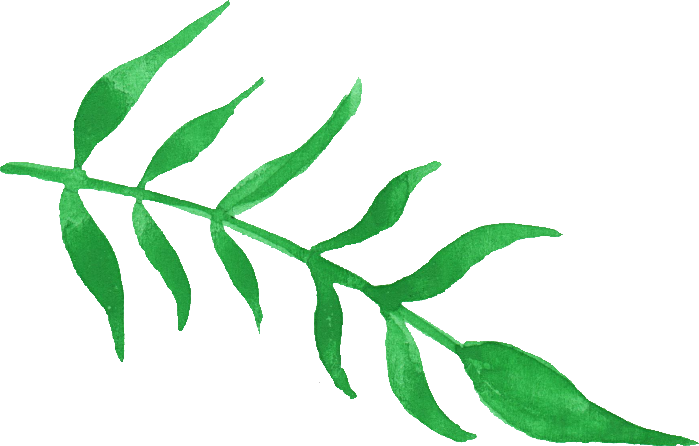 Free Download - Green Watercolor Plant Png (699x446)