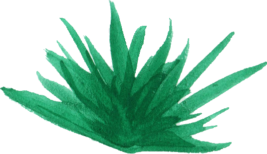 Free Download - Grass Wattercolor (535x310)