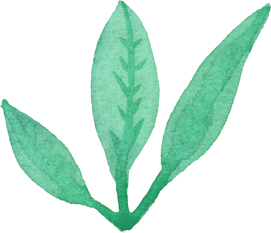 Free Download - Leaves Water Color Png (874x751)