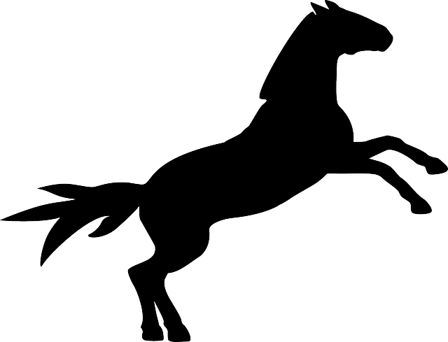 Black Horse, Silhouette, Animal, Black - Custom Black Horse Silhouette Shower Curtain (640x489)