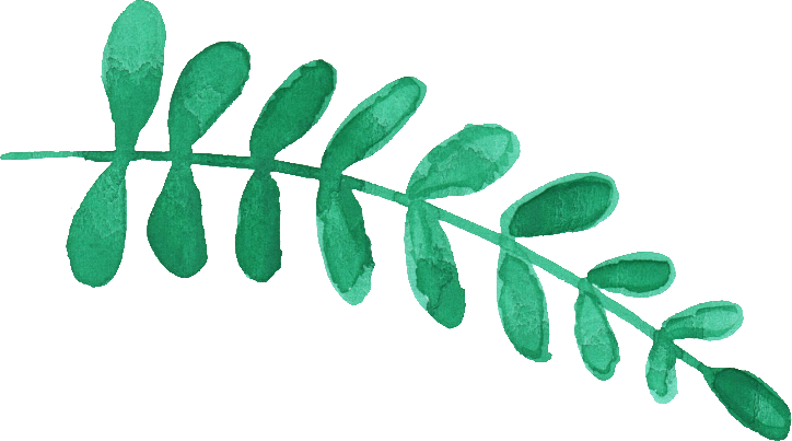 Free Download - Watercolor Flowering Leaves Png (724x403)