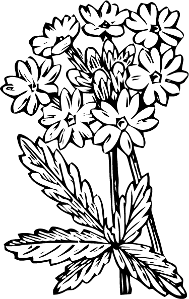 Free Vector Art - Wendy Vecchi Cling Rubber Stamps The Beauty S & (375x594)