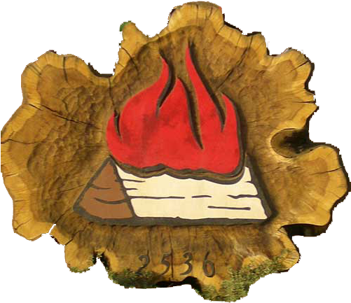Pacific Firewood & Lumber - Cartoon (500x440)