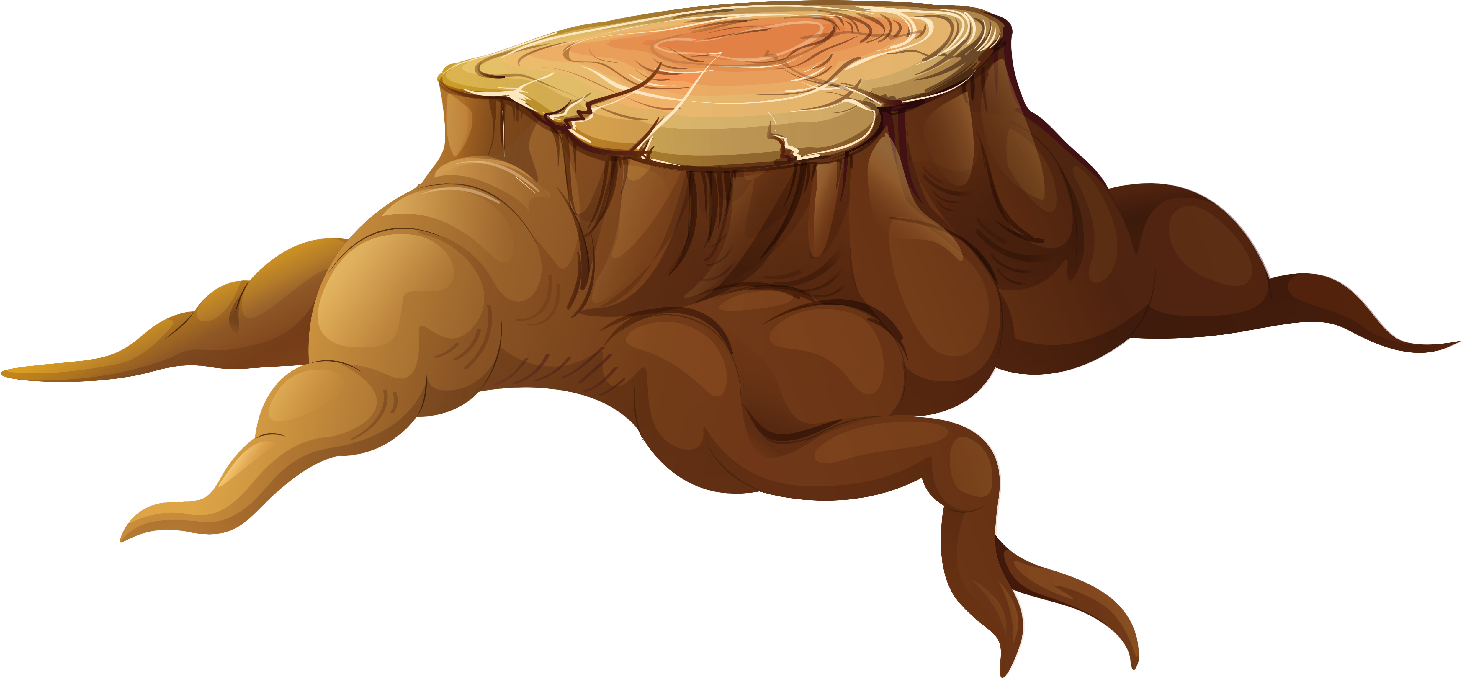 Tree Trunk Tree Stump Clipart - Tree Trunk Clipart Transparent (5165x2551)