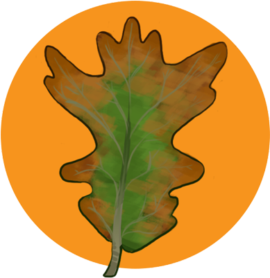 Oak - Illustration (400x400)