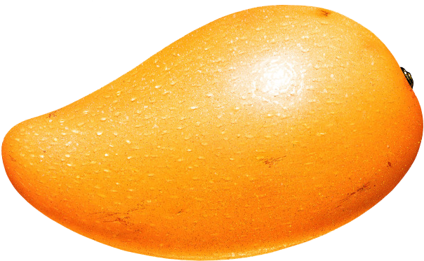 Orange Mango Auglis Kiwifruit Food - Orange Mango Auglis Kiwifruit Food (650x392)