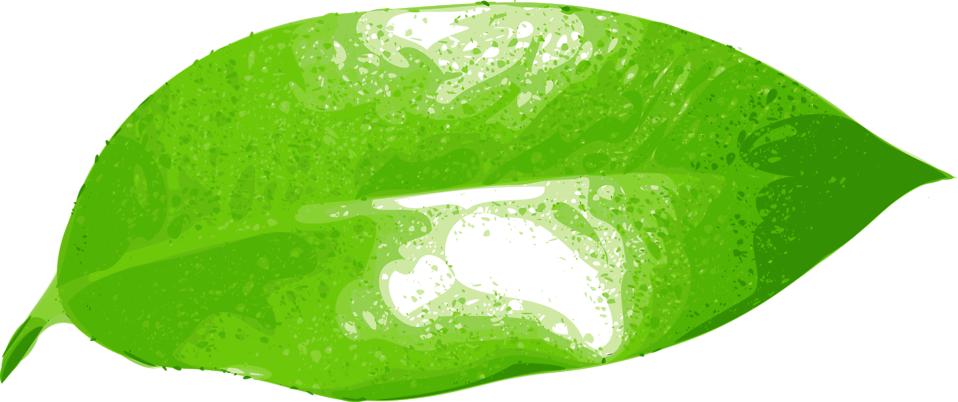 Green Leaf Clipart 9, Buy Clip Art - Hoja De Naranja Png (958x402)