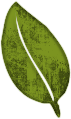 Leaf Clipart Natural - Natural Leaf Clipart (512x512)