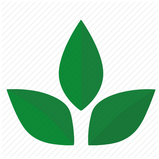Green Leaf Icon - Herbal Tea (512x512)
