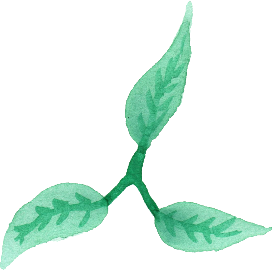 Free Download - Free Download (906x898)