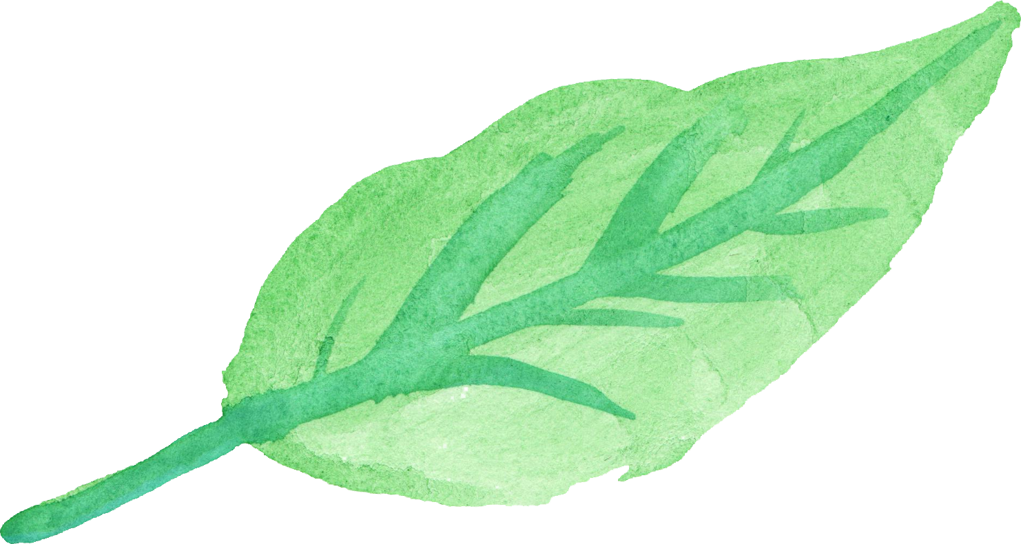 Free Download - Green Watercolour Leaves Png (1482x791)