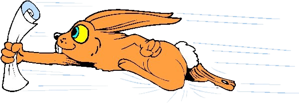 Hare Cartoon Rabbit Illustration - Hare Cartoon Rabbit Illustration (802x394)