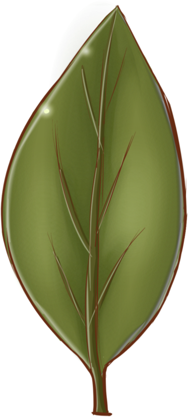 It's A Leaf By Cartproductions - Cartoon Leaf Texture (894x894)