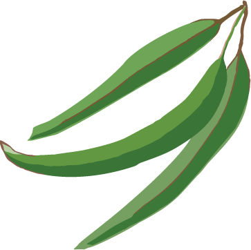 Website Design And Development By Digital Barn - Education (363x362)